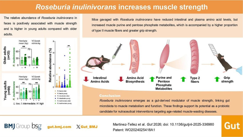 Gráfico de la investigación.