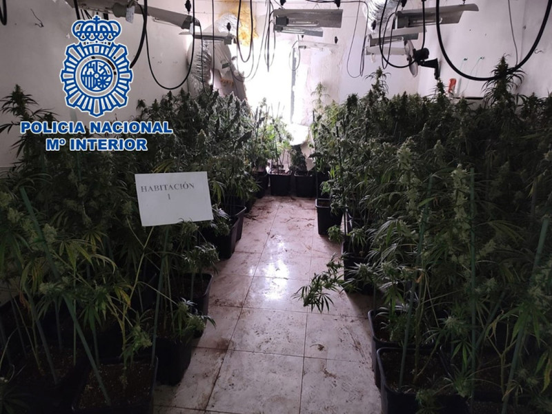 Vivienda habilitada para el cultivo de marihuana, en imagen de archivo (POLICÍA NACIONAL) Vivienda habilitada para el cultivo de marihuana, en imagen de archivo (POLICÍA NACIONAL)