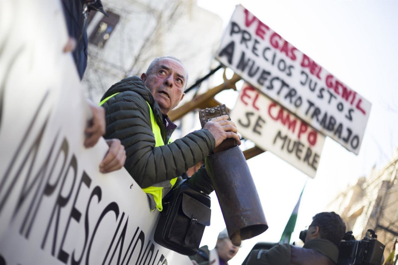 Imagen de archivo de protestas agrarias en la Subdelegación del Gobierno de Granada (ÁLEX CÁMARA / EUROPA PRESS)