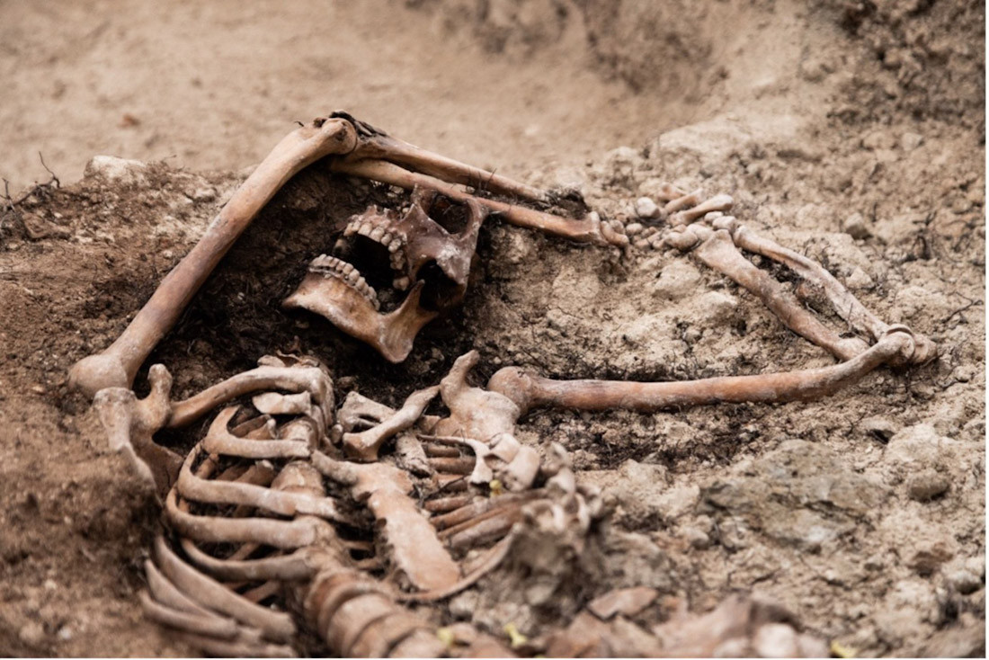 Restos óseos exhumados de una persona represaliada en una de las fosas comunes excavadas en el cementerio municipal de Padul (UNIVERSIDAD DE GRANADA)