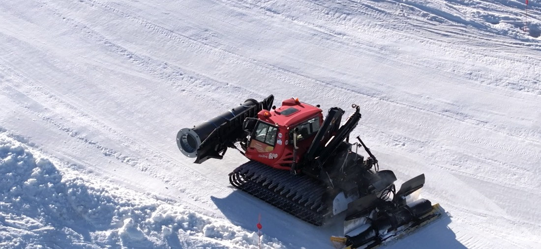 Traslado de la pilona (CETURSA)