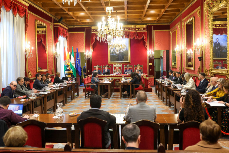 Pleno del Ayuntamiento de Granada (GPMEDIA)