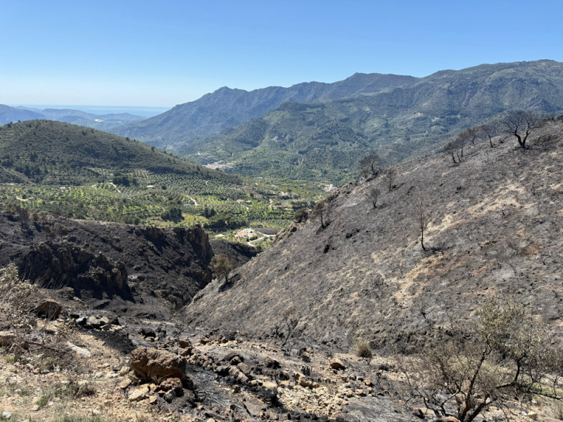 Zona afectada por el incendio en Los Guájares, que ya se encuentra controlado (DIPGRA Zona afectada por el incendio en Los Guájares, que ya se encuentra controlado (DIPGRA