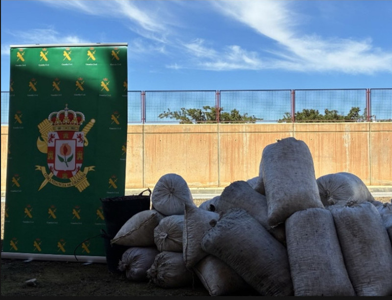 Aceitunas recuperadas (GUARDIA CIVIL) Aceitunas recuperadas (GUARDIA CIVIL)