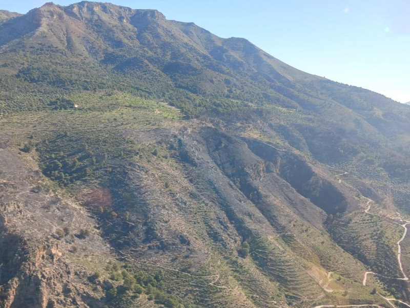 Vista del área afectada por el incendio en el paraje de Alberca Alta en Los Guájares (PLAN INFOCA) Vista del área afectada por el incendio en el paraje de Alberca Alta en Los Guájares (PLAN INFOCA)