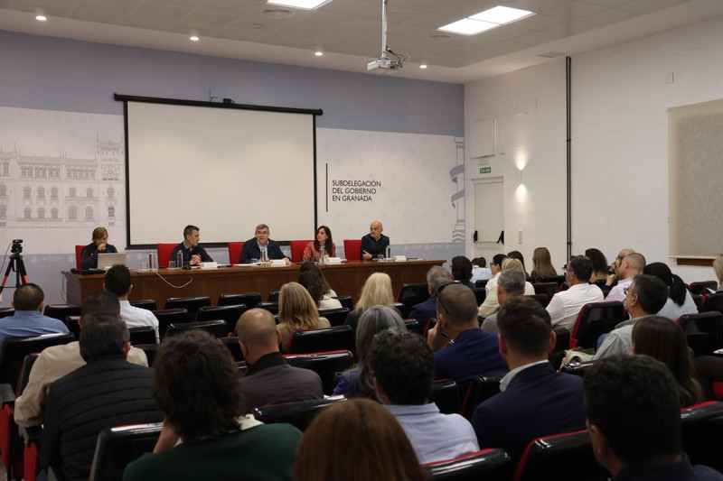 La Subdelegación del Gobierno en Granada ha acogido este viernes una nueva sesión informativa (SUBDELEGACIÓN) La Subdelegación del Gobierno en Granada ha acogido este viernes una nueva sesión informativa (SUBDELEGACIÓN)