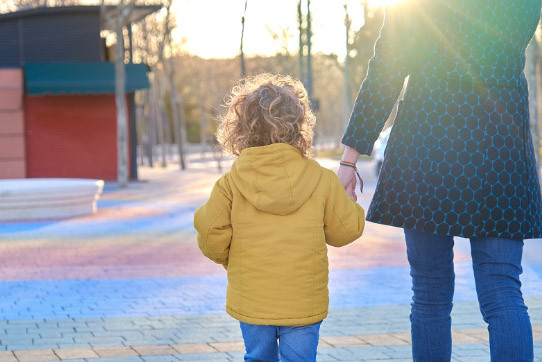 (SUBDELEGACIÓN) (SUBDELEGACIÓN)