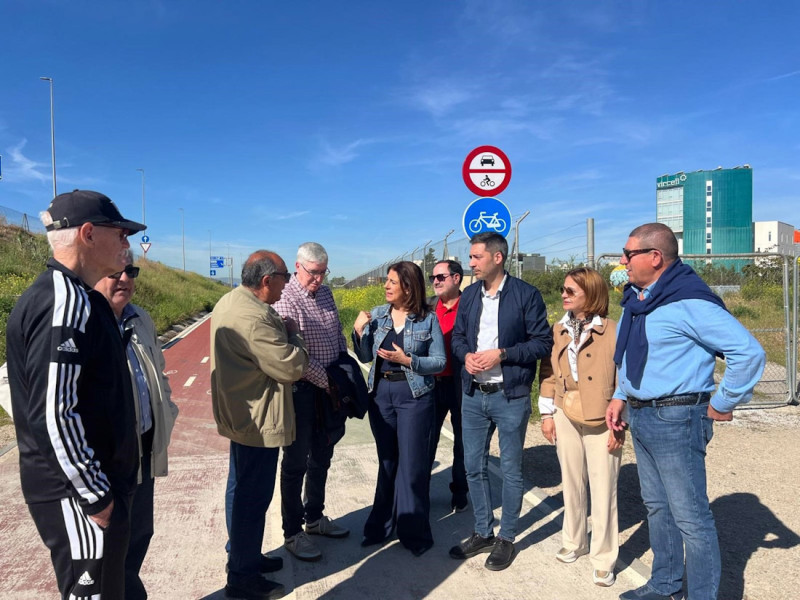 (PSOE) (PSOE)
