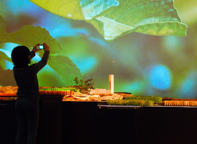 (CAJAGRANADA FUNDACIÓN)