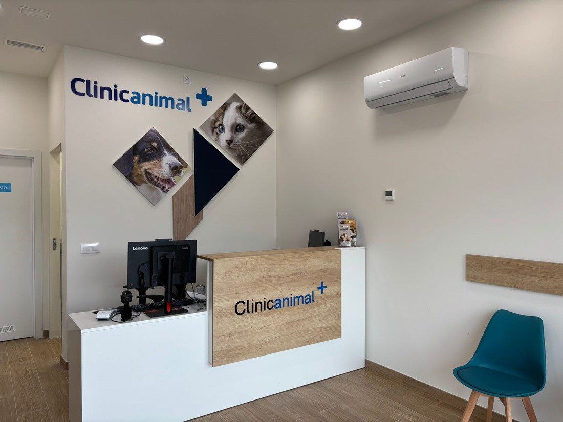 Tiendaanimal (GRANAITA)