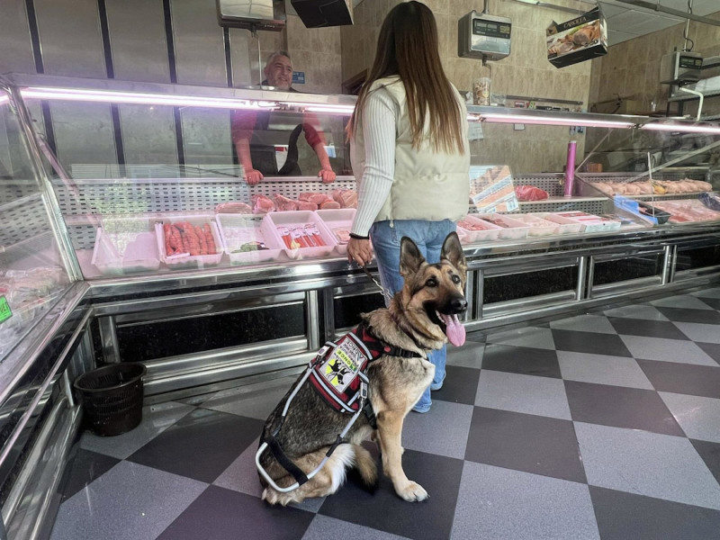 Usuaria con un perro guia en una carnicería (FUNDACIÓN ONCE) Usuaria con un perro guia en una carnicería (FUNDACIÓN ONCE)