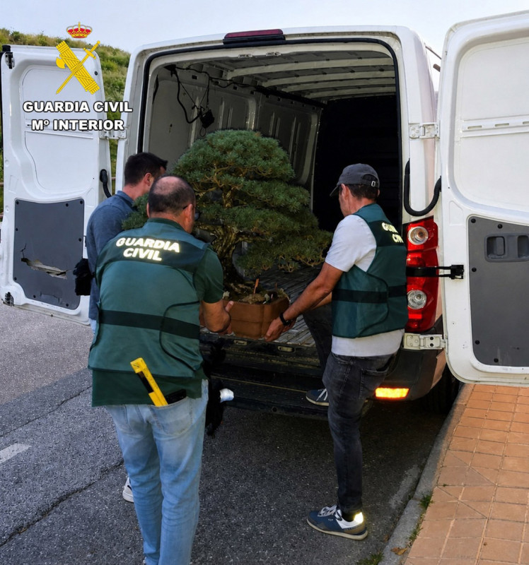 Imagen de archivo (GUARDIA CIVIL)
