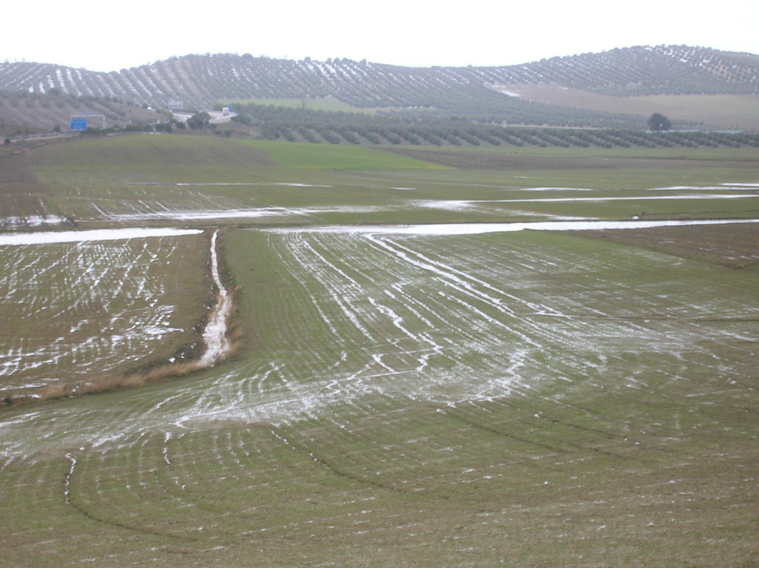 (ASAJA GRANADA)