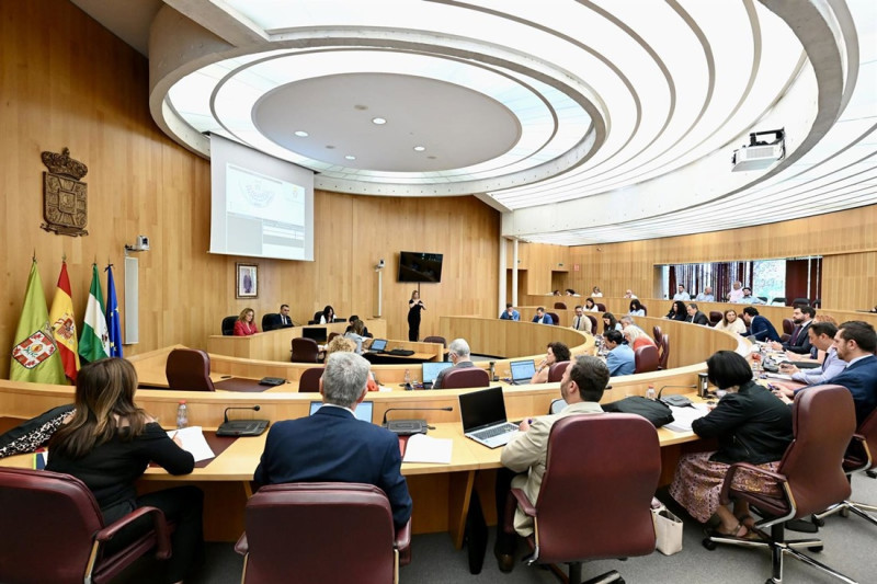 Pleno de la Diputación de Granada (DIPGRA)