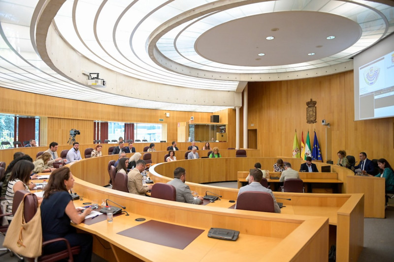 Pleno extraordinario de Diputación (GPMEDIA)