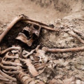 Exhumación de una fosa en el cementerio de Padul (FRANCISCO DE ASÍS CARRIÓN)