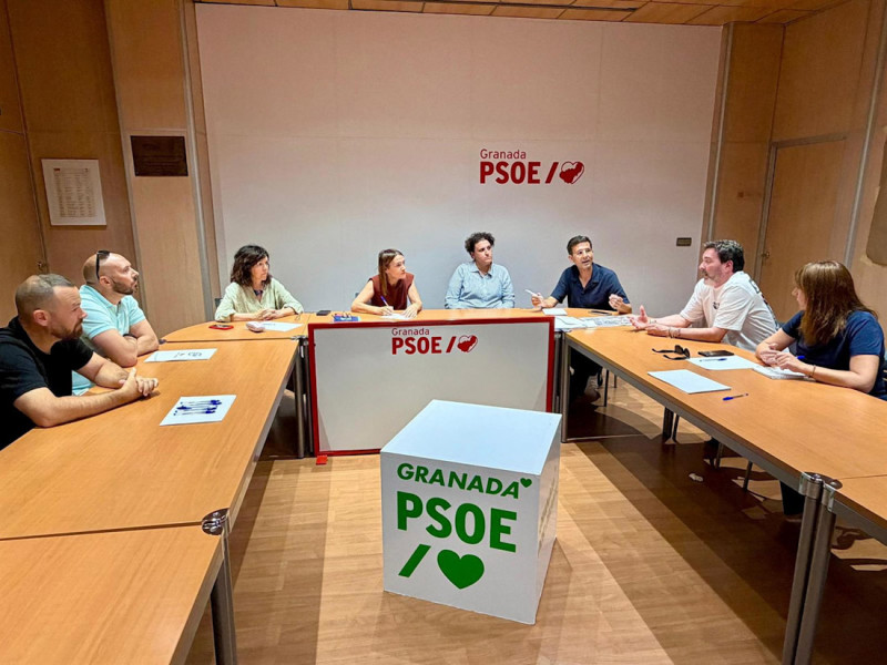 (PSOE) (PSOE)