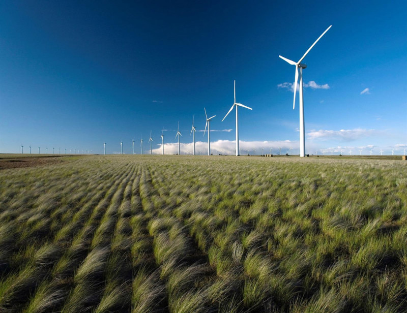 Parque eólico (IBERDROLA)