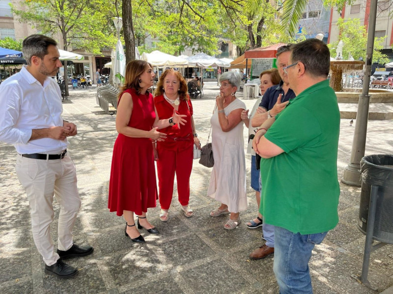 (PSOE) (PSOE)