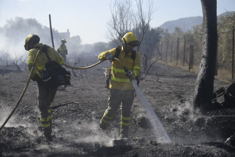 Bomberos forestales trabajan en el incendio de Dúrcal (GPMEDIA)